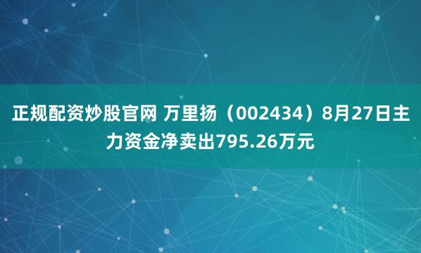 正规配资炒股官网 万里扬（002434）8月27日主力资金净卖出795.26万元