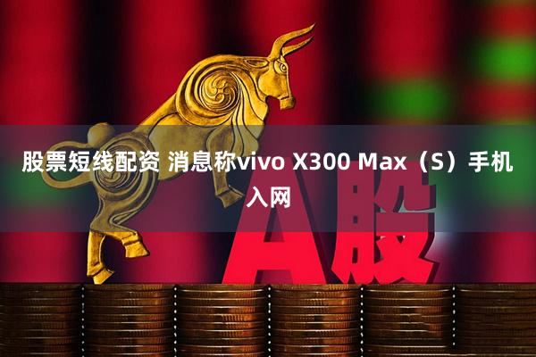 股票短线配资 消息称vivo X300 Max（S）手机入网